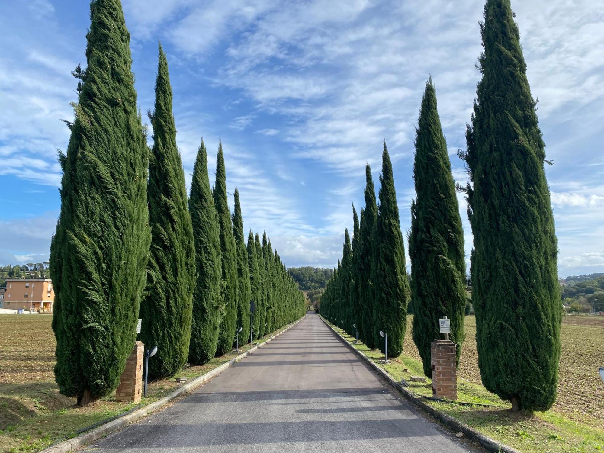 La Locanda Dei Golosi Bosco  Eksteriør billede